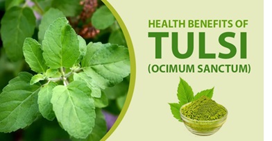 Tulsi health benefits