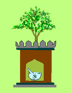 Medicinal Herb -Tulsi